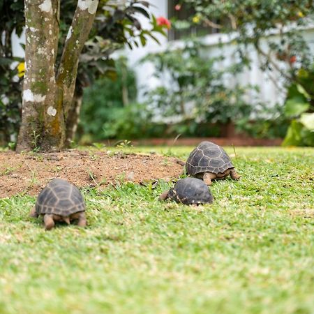 Ixora Villa Anse Royale Bagian luar foto