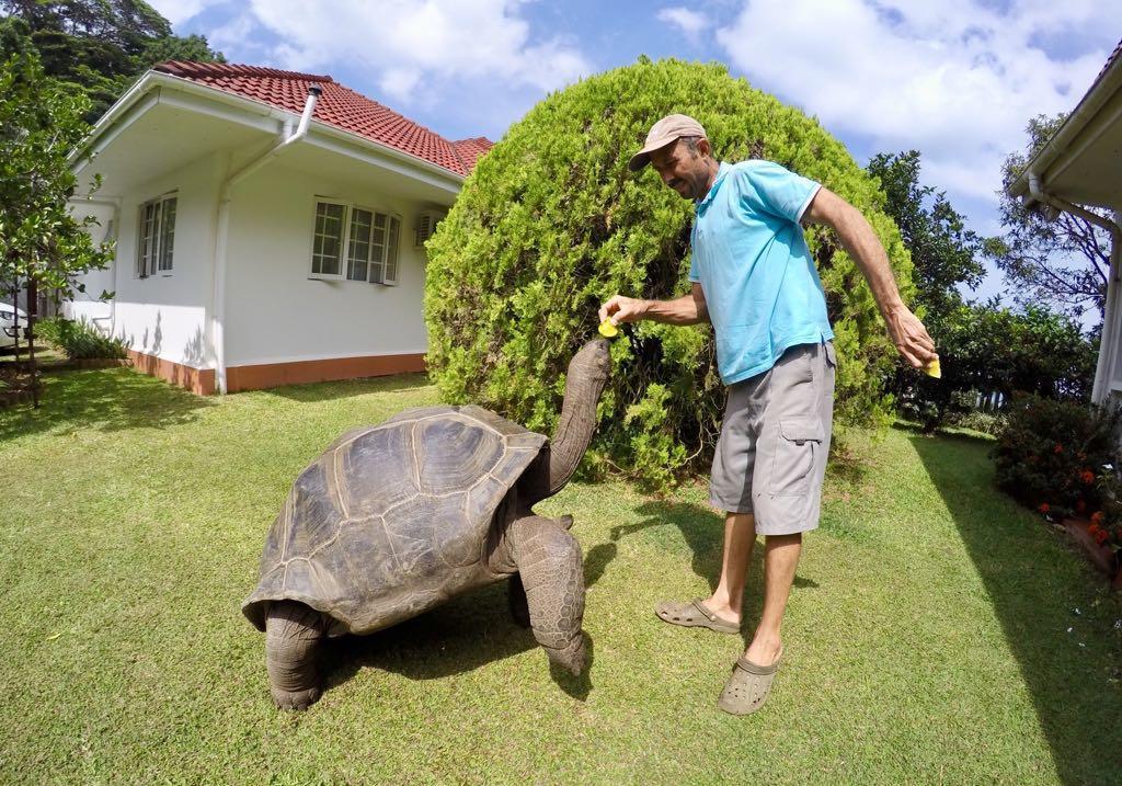 Ixora Villa Anse Royale Bagian luar foto